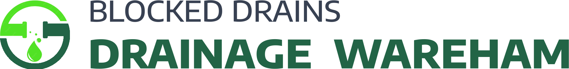 website logo